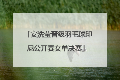 安洗莹晋级羽毛球印尼公开赛女单决赛
